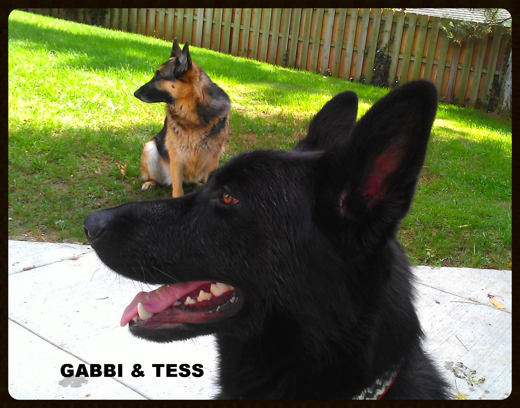 Gabi-Tess summer 2014.jpg