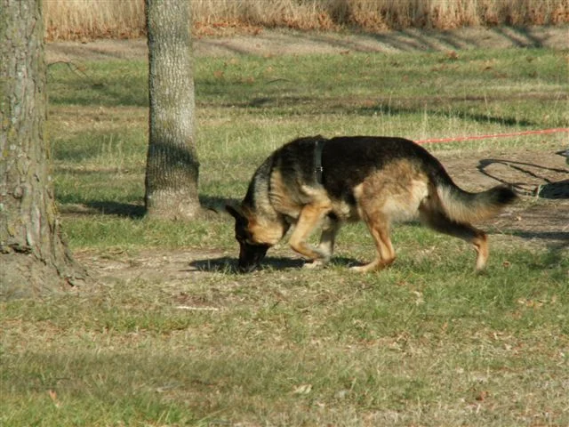 FREE TRACKLAYERS SEMINAR - Litton Center, Smithville Lake