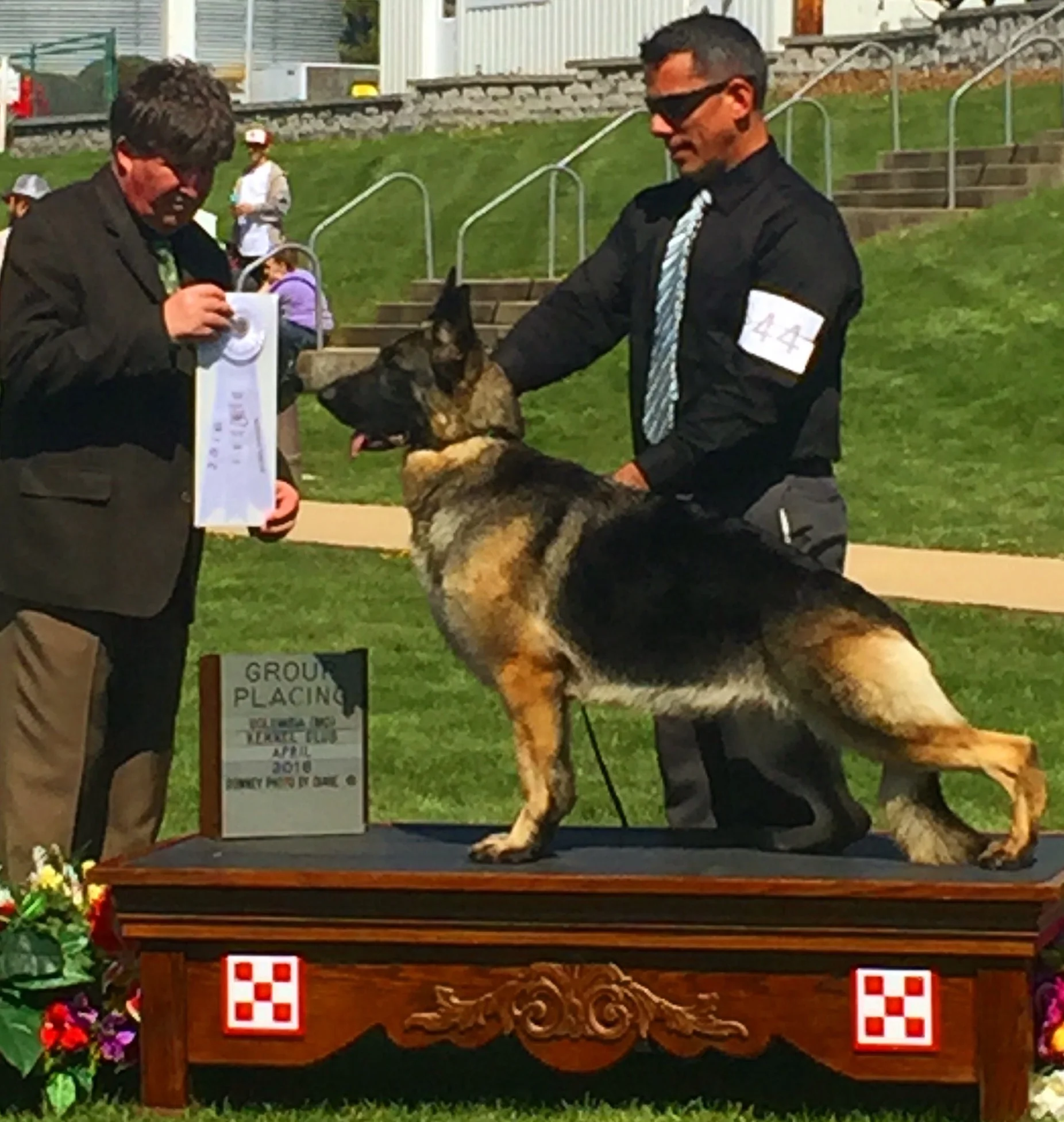MV Select GCH. Charbo-Tanbark's Trinket v Hillside, TC, was Best of Breed both April 2 and 3 at Purina Farms in a huge specials class. Saturday judge was Jamie Hubbard and Sunday was Charles Olvis. She topped it off with a Group 4 on Sunday.