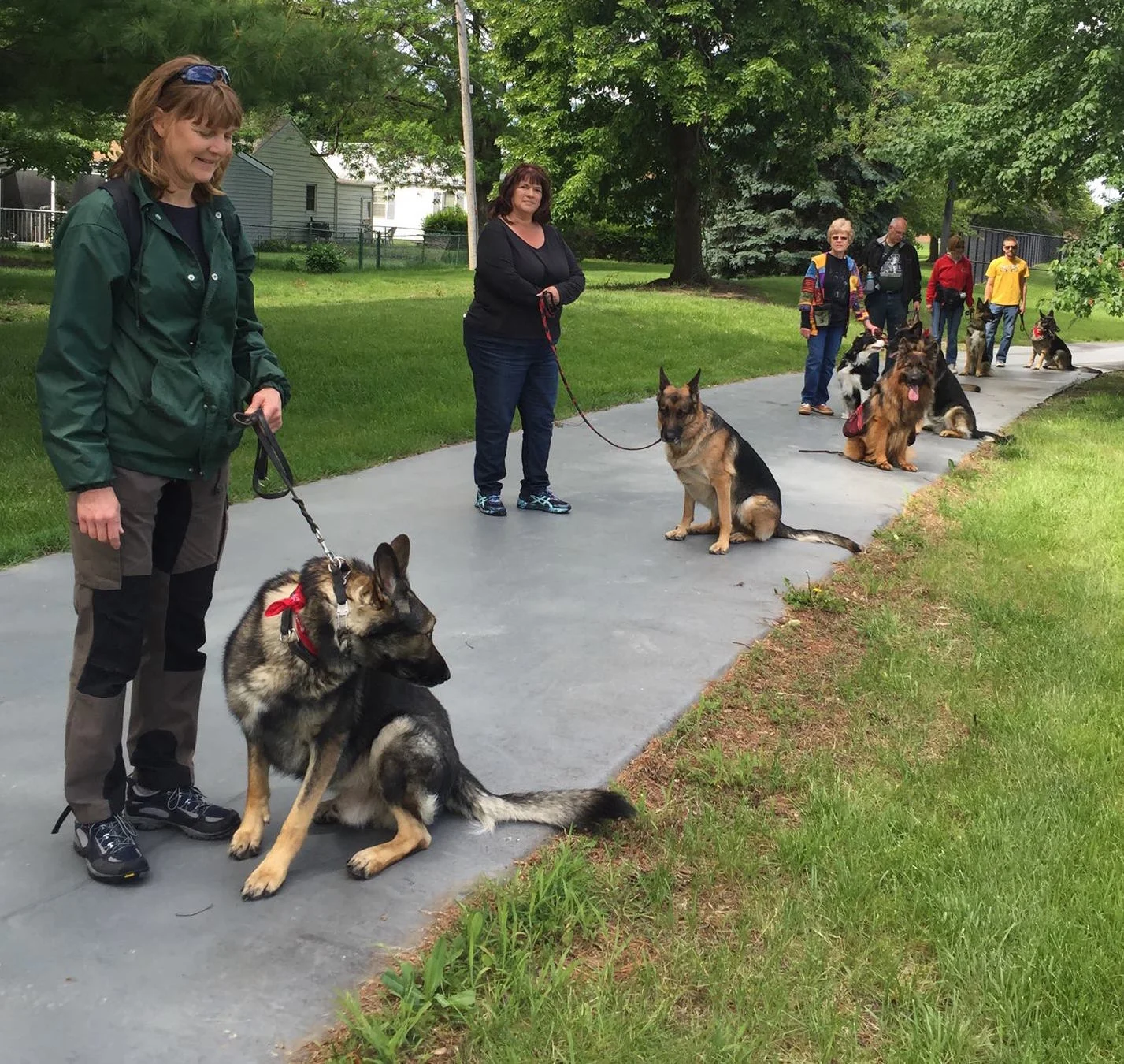 Along the walk, Debbie McHenry stopped to take a group photo. Left to right, Darla Lilly and Gregg ; Nancy Kennedy and Heinz ; Gero (Debbie's dog on a sit-stay), Cheryl May with Ted and Buzz ; David Martin with Geena ; Sally Hamm with Heidi ; and guest Paul Hamm with Axl . Photo by Debbie McHenry