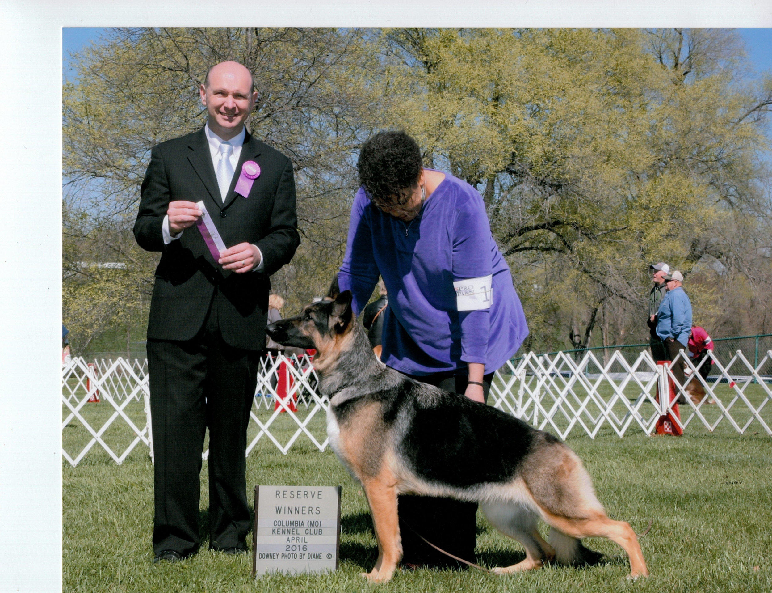 Sally Hamm's Hillside-Tanbark Heidelburg Tiger Eye, TD, BN, CGC, added a major reserve to her resume April 2 at Purina Farms. Heidi's handler was Tiffany Bartley .
