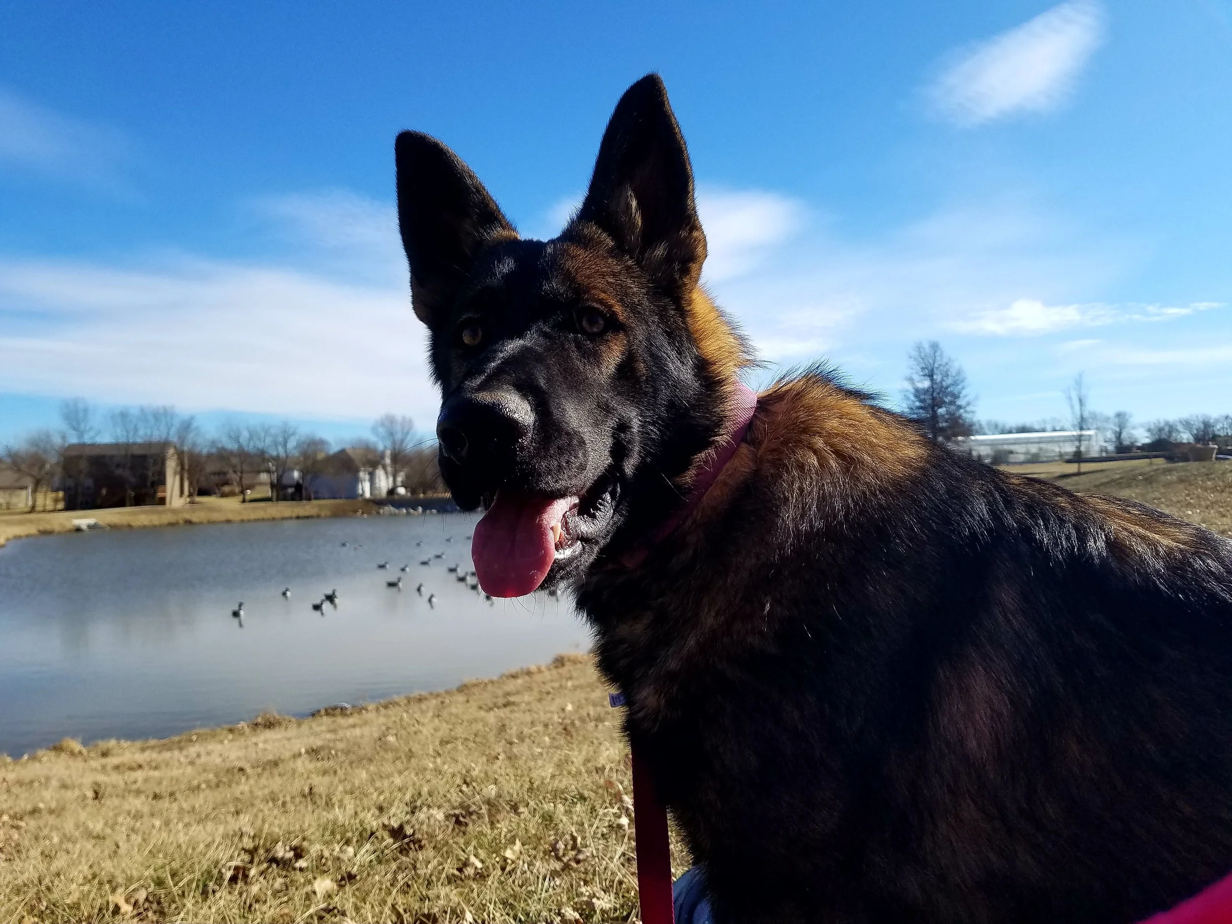 Trudy ( Czech