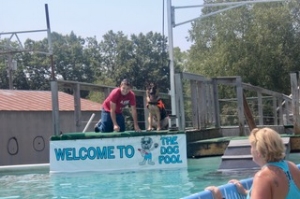 Dock Diving.jpeg