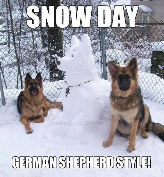 Snow Day.jpg