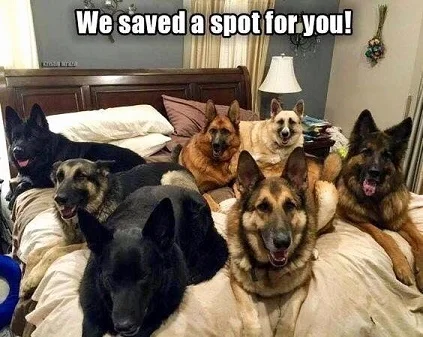 2saved spot.jpg