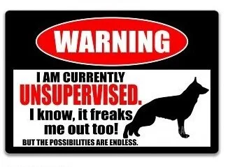 unsupervised.jpg