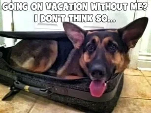 Vacation.jpg