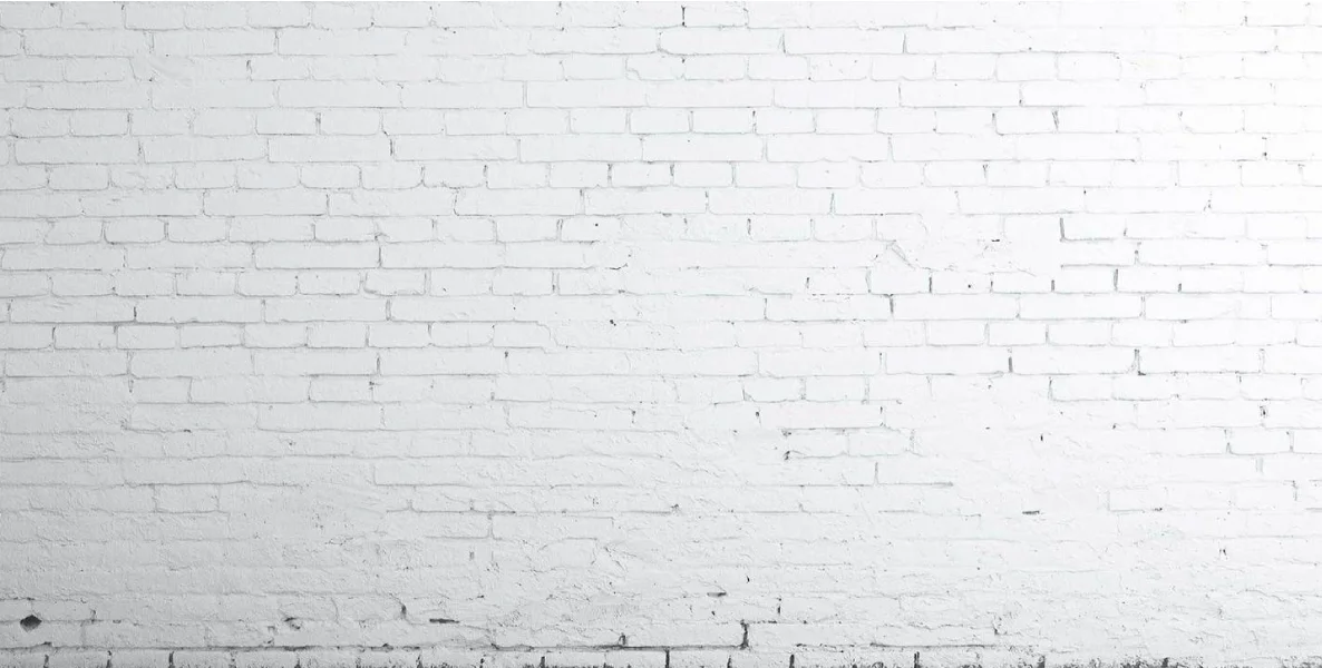 WOR-header-no-logo.jpg