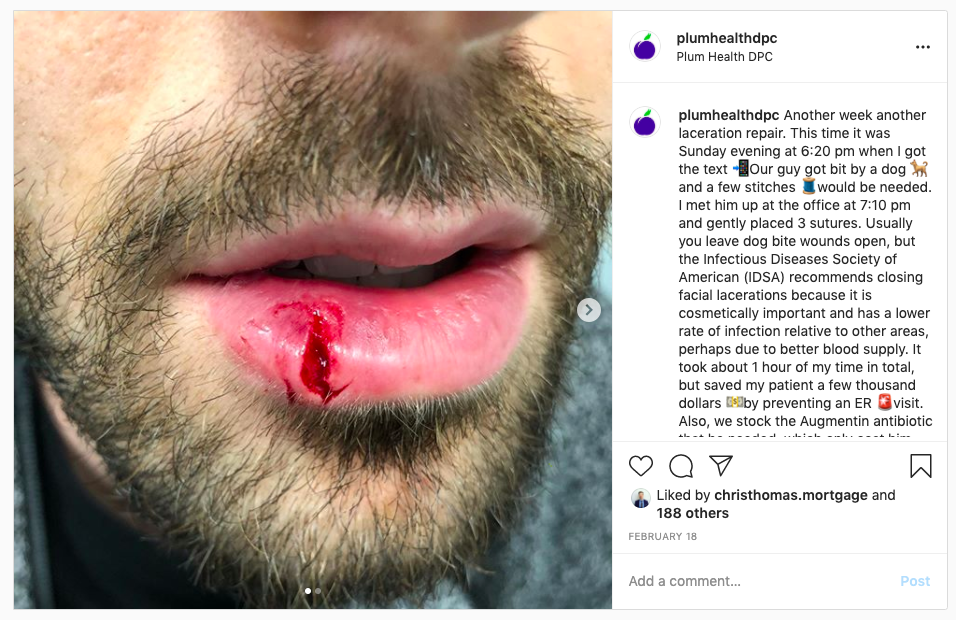 Dog bite on lip of dog