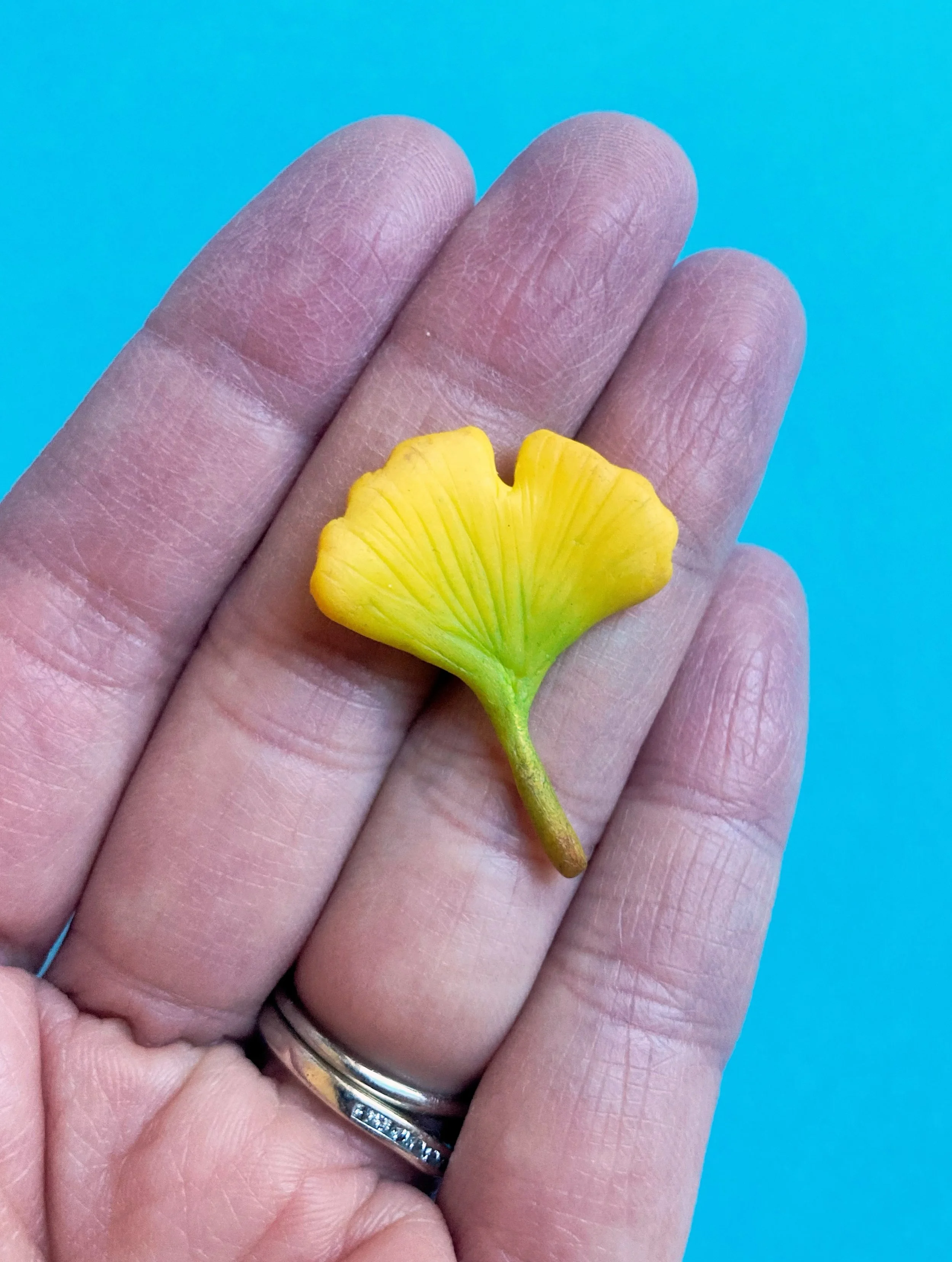 A gift&mdash;Ginko leaf magnet

Delivered in a homemade, upcycled cereal box and tissue. 

Did you know that the first Ginko biloba tree in North America was planted right here in Philly?? I have to go see it one day in @bartramsgarden 

&ldquo;It&rs