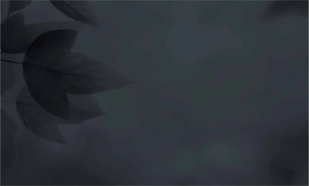 rb_revolutionleaf.jpg