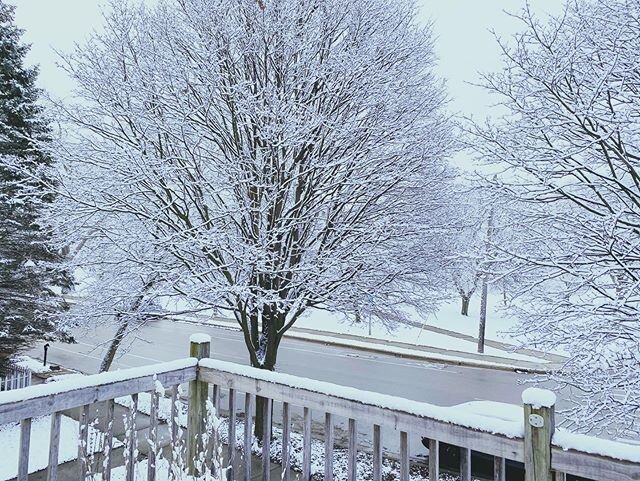 At least the view is pretty from quarantine ❄️😷
#quarantine #snow #michigan #covid_19 #socialdistancing #grandrapids