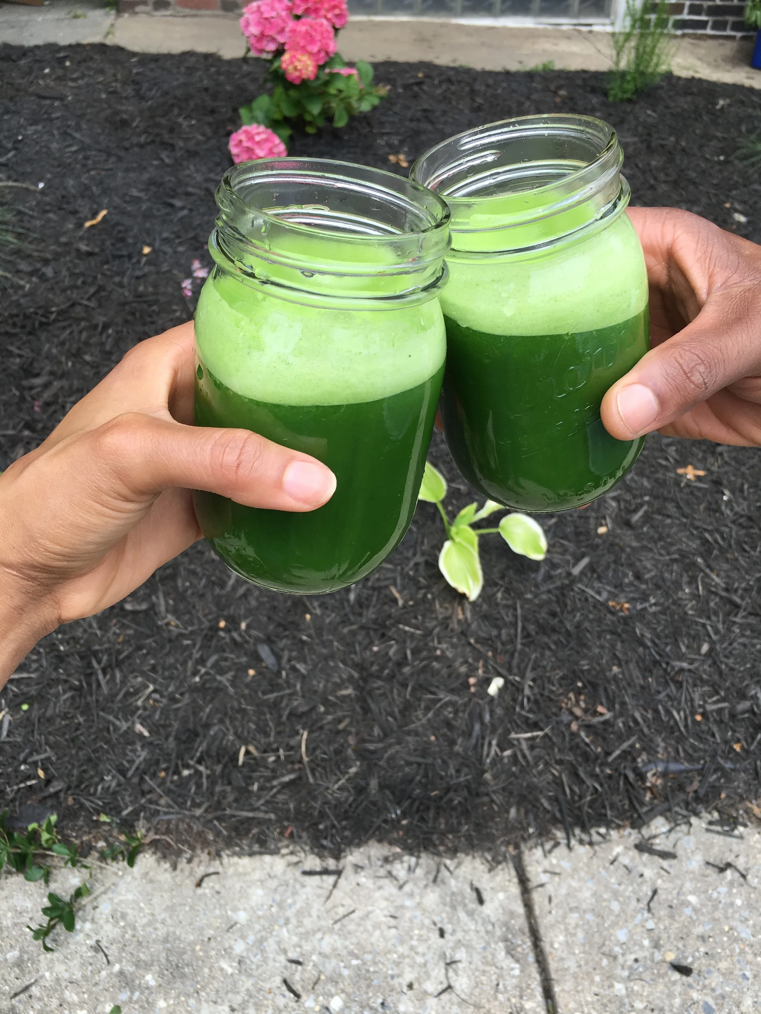 Kale Cucumber &amp; Apple Green Juice 