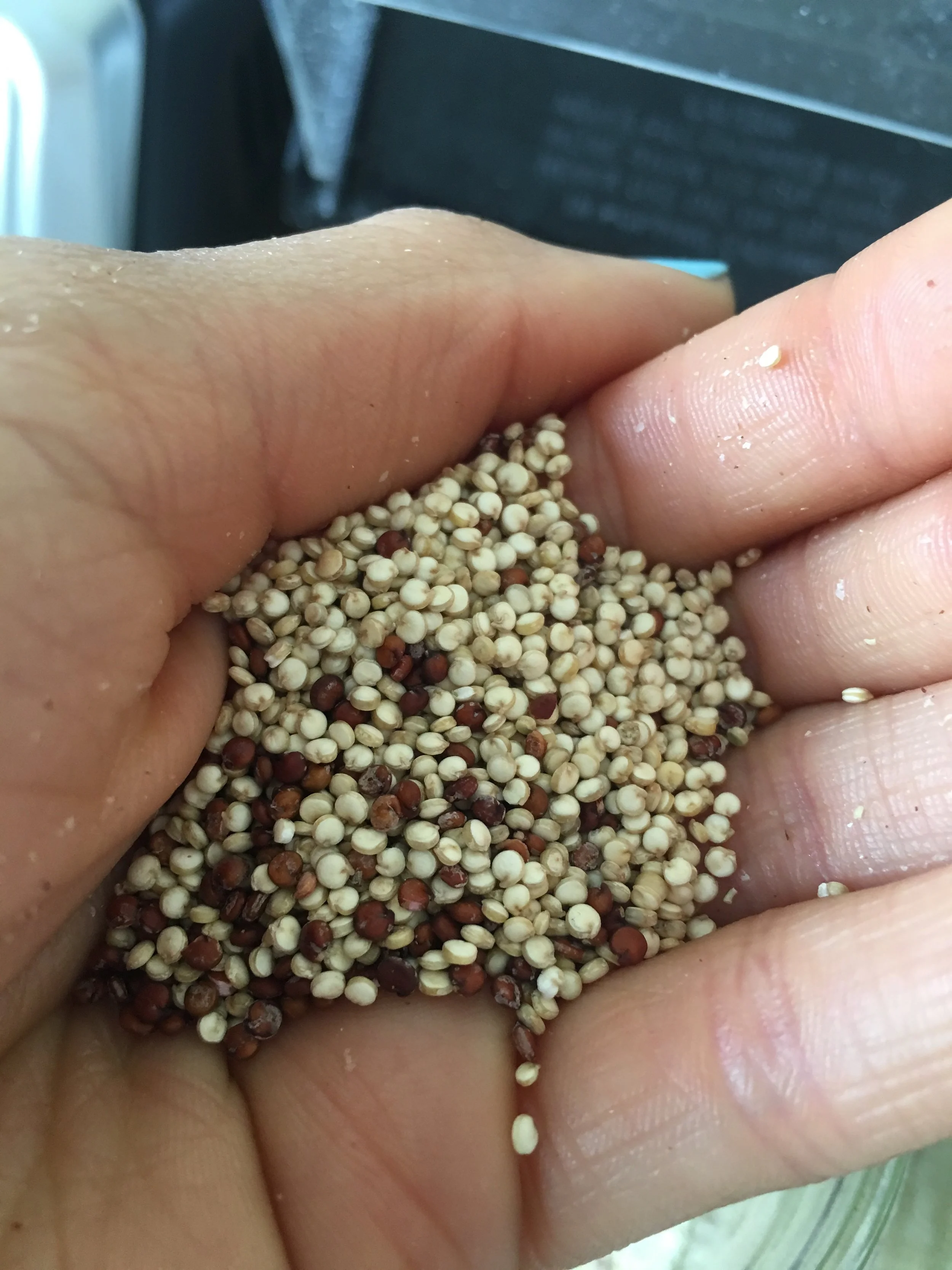 Why You Should Be Eating Quinoa