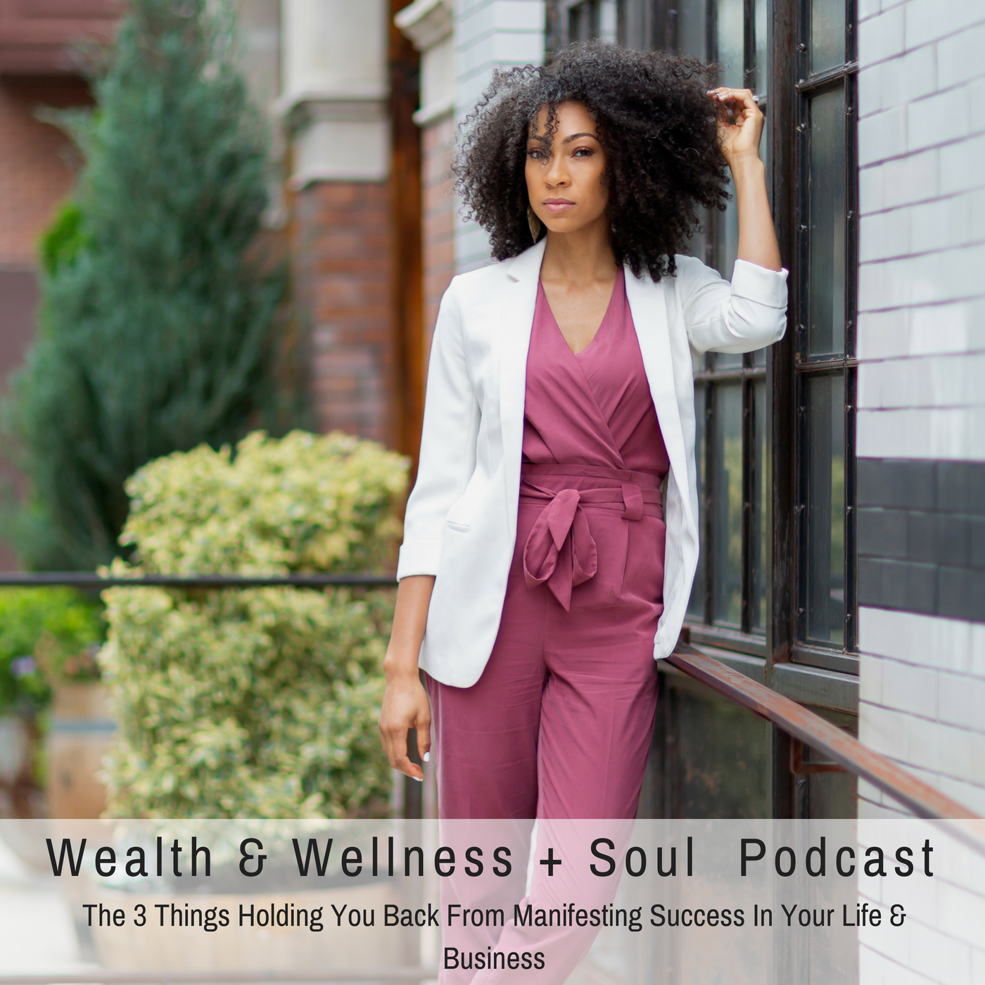 Wealth & Wellness + Soul Art for 1 min recording.png