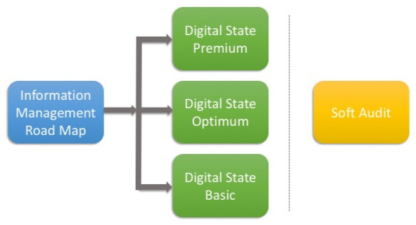 Information Management Options