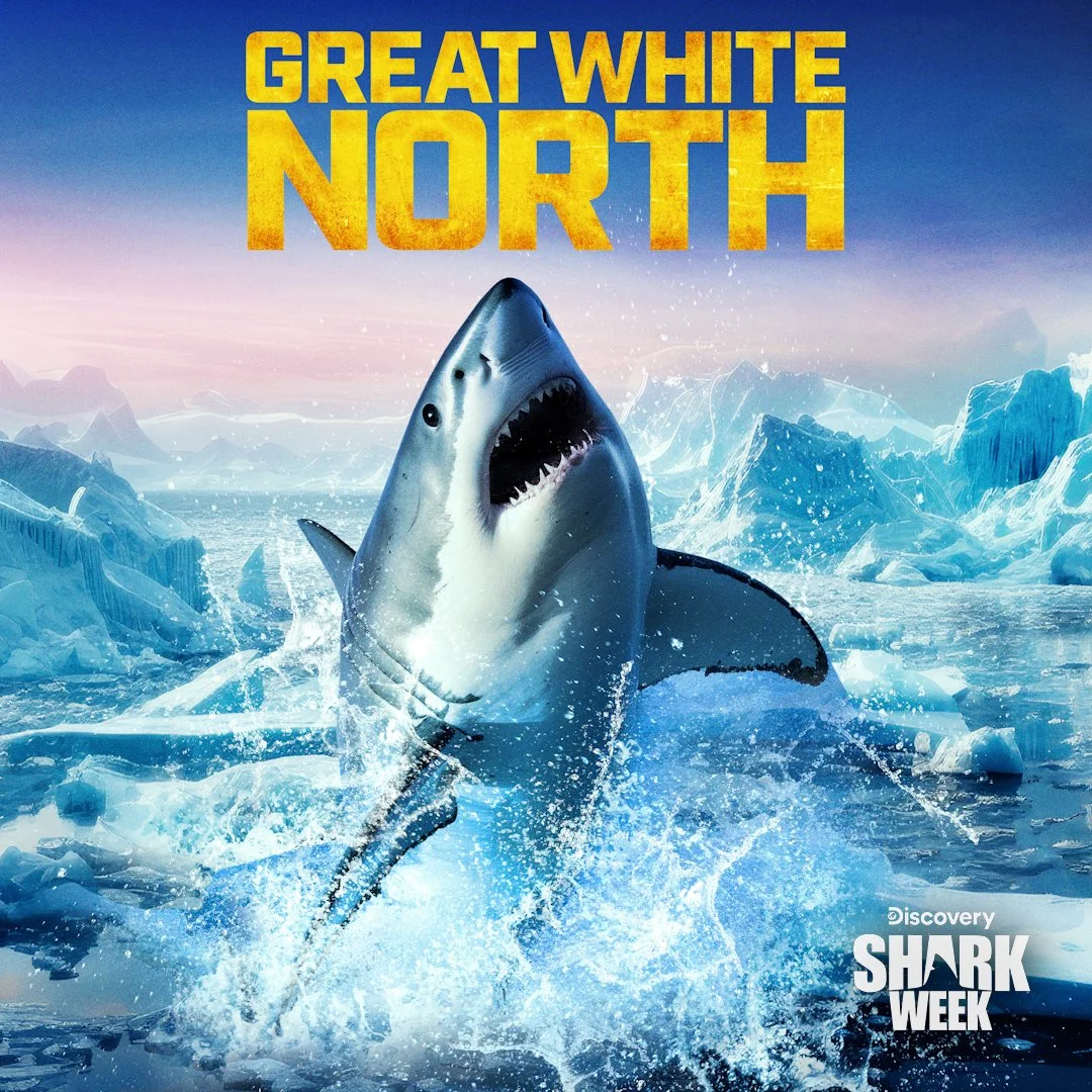 Shark Week - Great White North