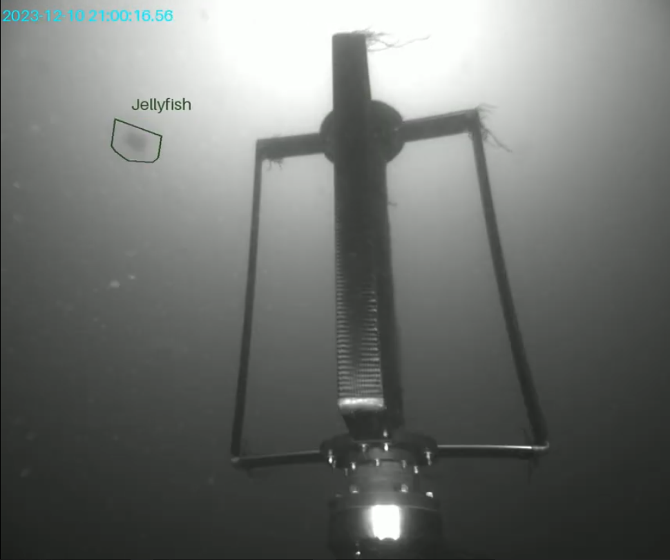 MarineSitu Transforms Underwater Monitoring with Ultralytics Yolo