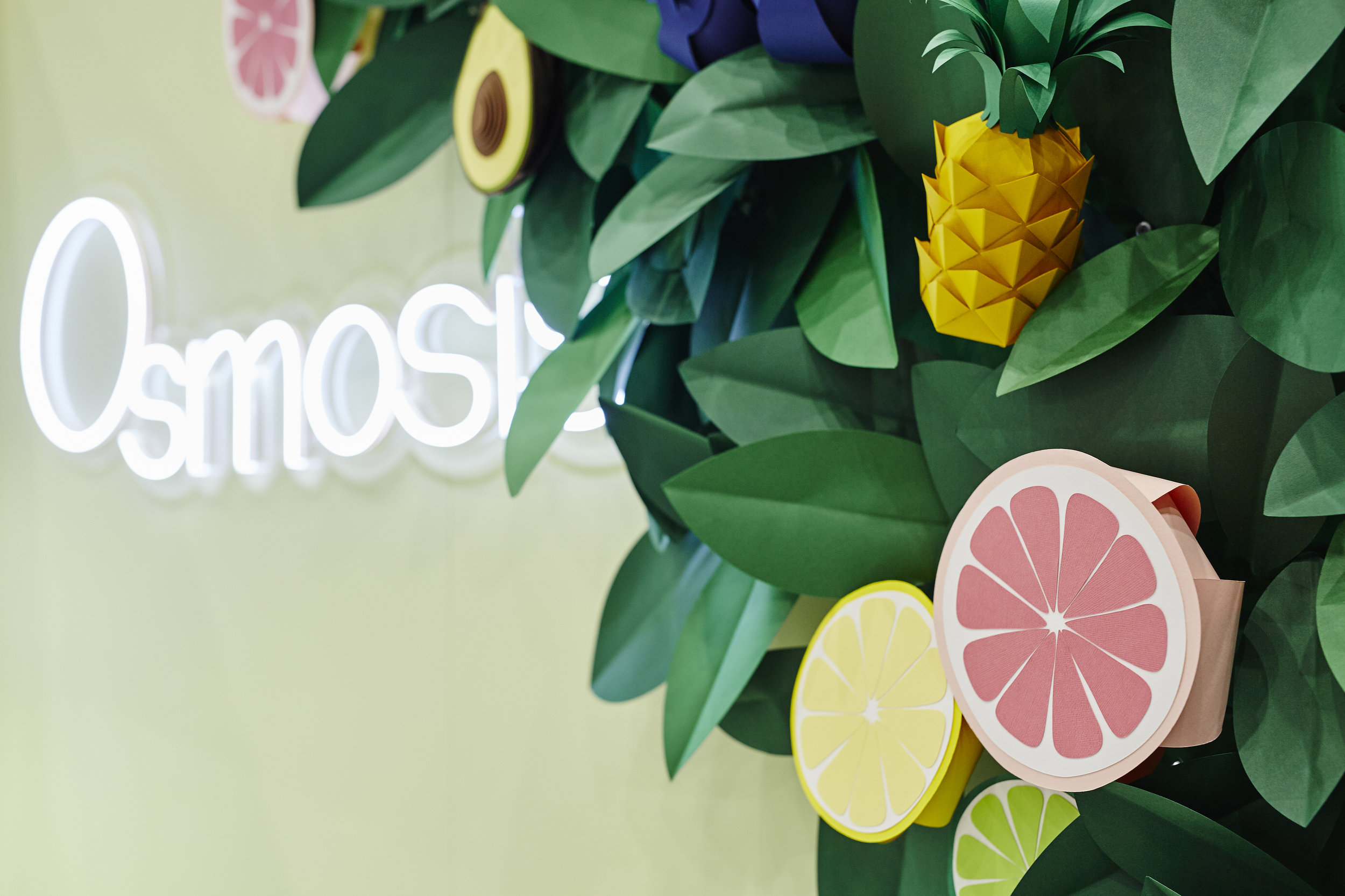  3D Paper Ingredients  Client: Osmosis Skincare  Project Management: Larger Than Life Agency 