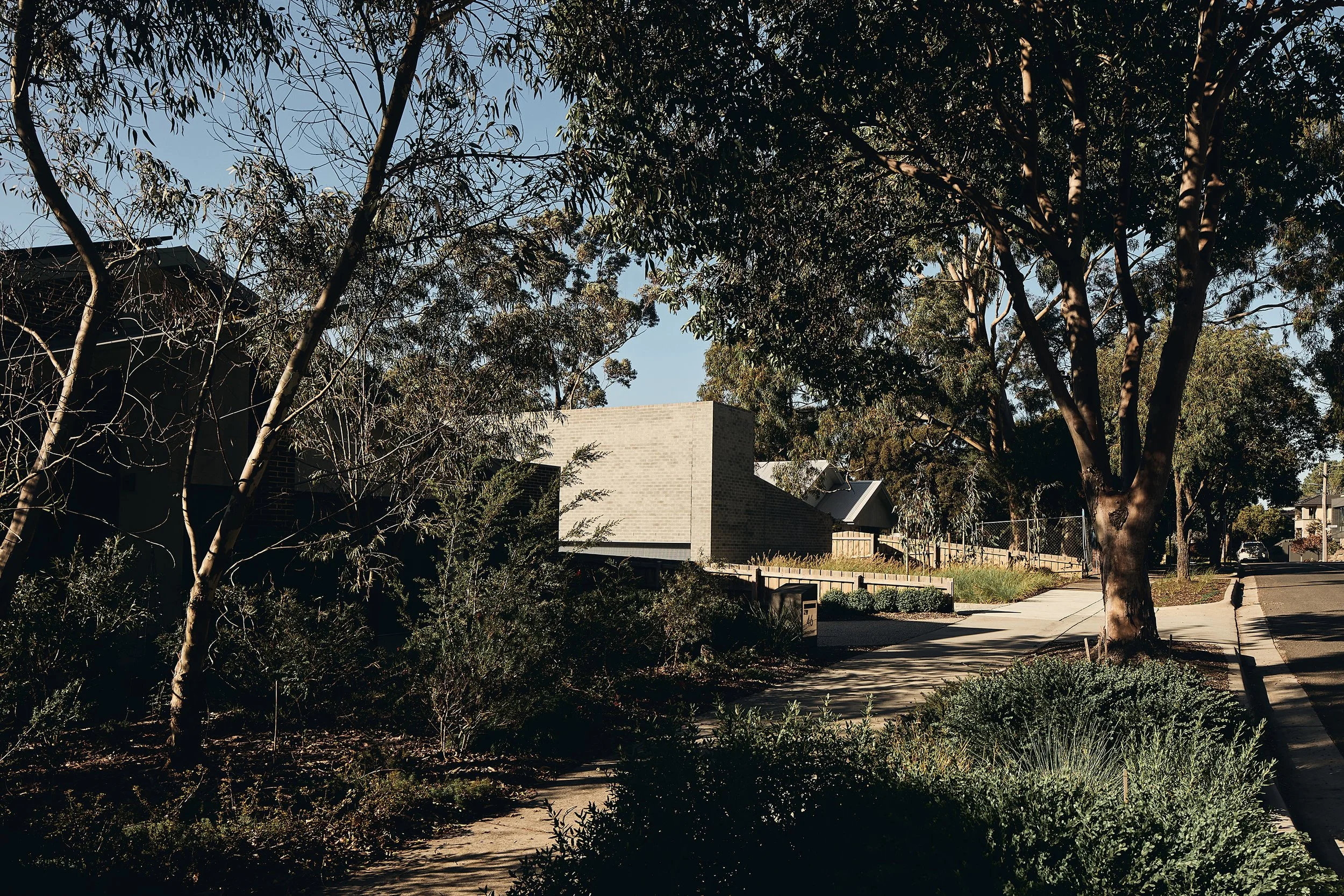 250525 Bruce 0448.jpg