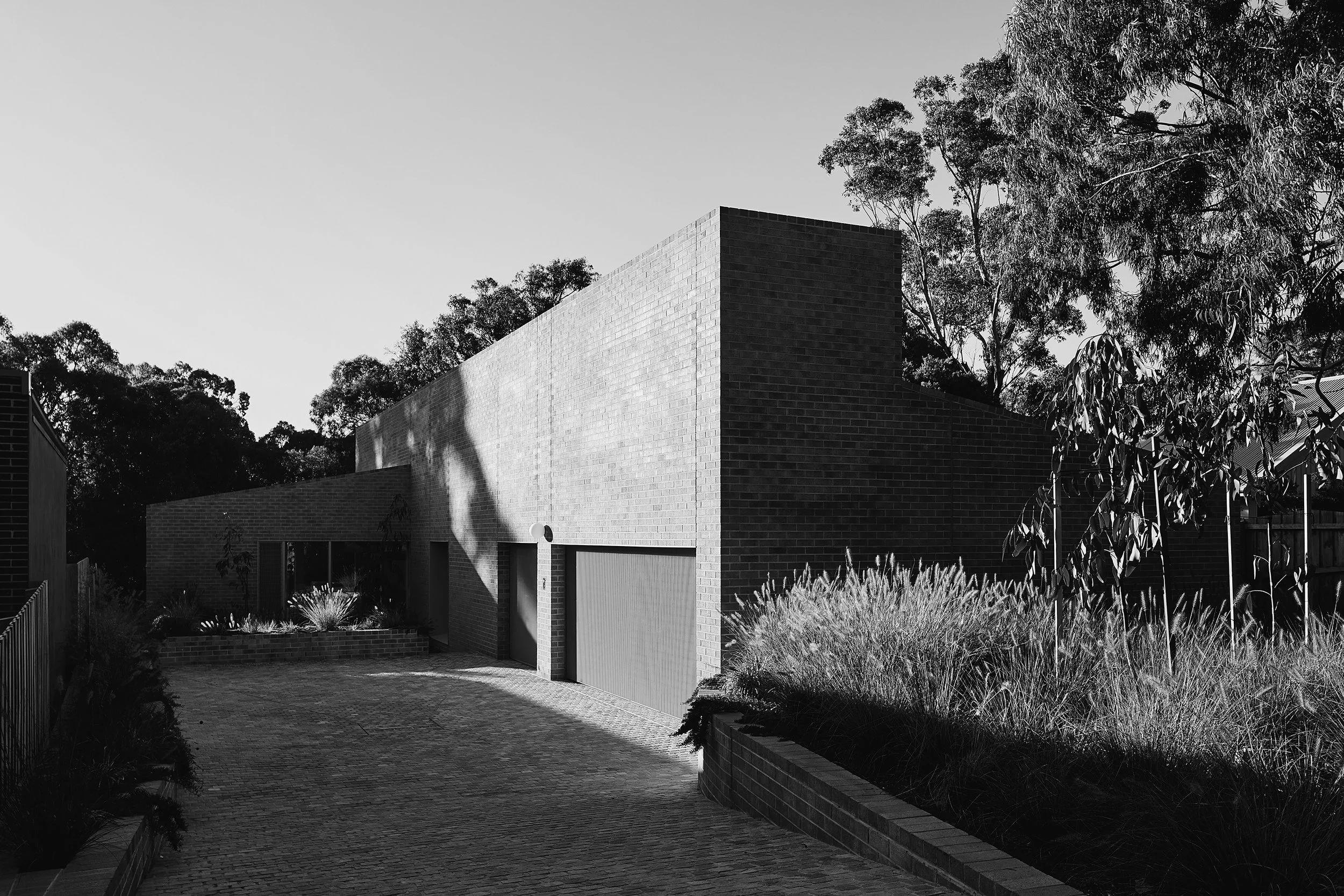 250525 Bruce 0004 BW.jpg