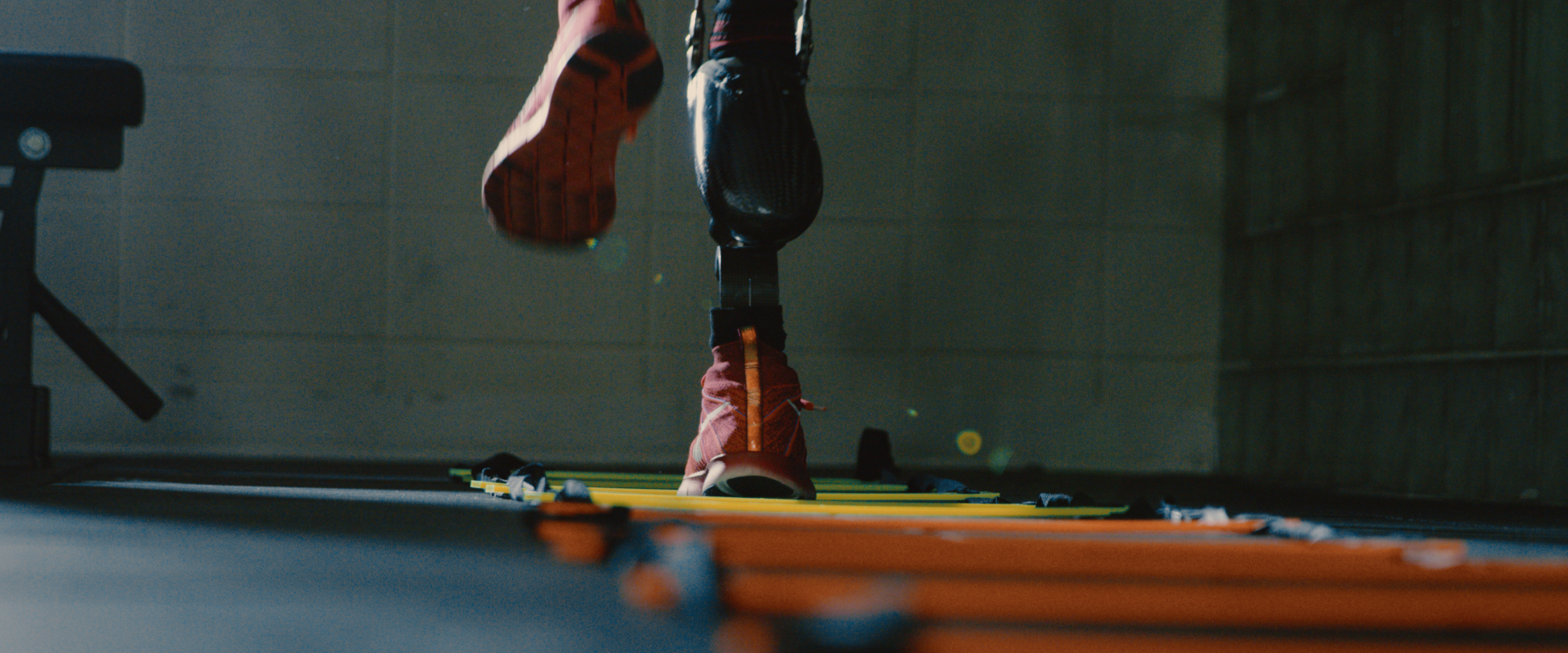 Screen Shot 2016-12-22 at 8.17.19 AM.png