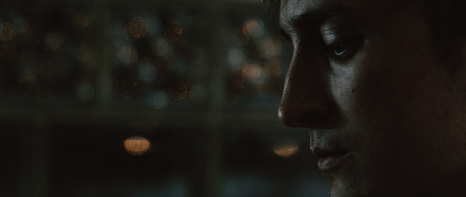 Screen Shot 2016-12-22 at 8.14.39 AM.png