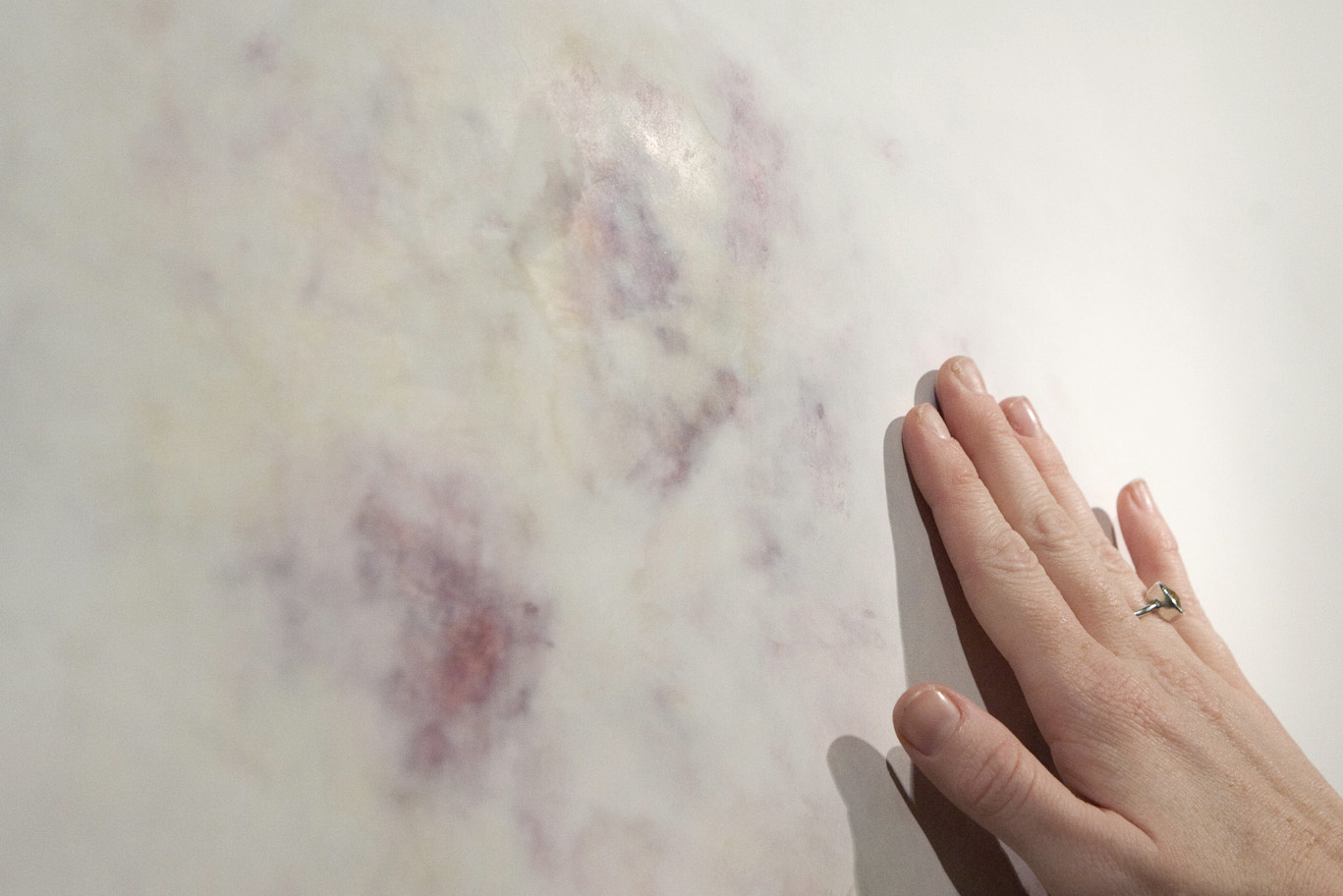 Untitled, Bruise Study . acrylic, joint compound, drywall. 2015. Nesbitt Gallery University of Arts and Sciences Oklahoma. Untitled, Bruise Study are humble reminders of our body’s physicality and I give reverence to these ephemeral markings by enlarging and embedding them in a building material, drywall.
