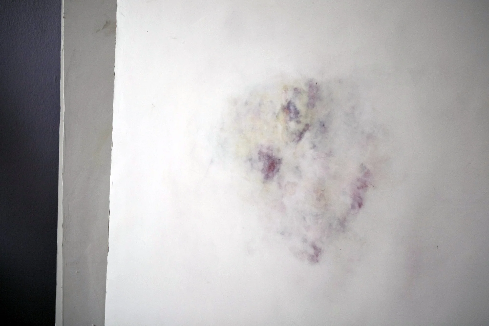 Untitled, Bruise Study . acrylic, joint compound, drywall. 2015. These bruise studies are humble reminders of our body’s physicality. Reverence is given to these ephemeral markings by enlarging and embedding them in a building material such as drywall.