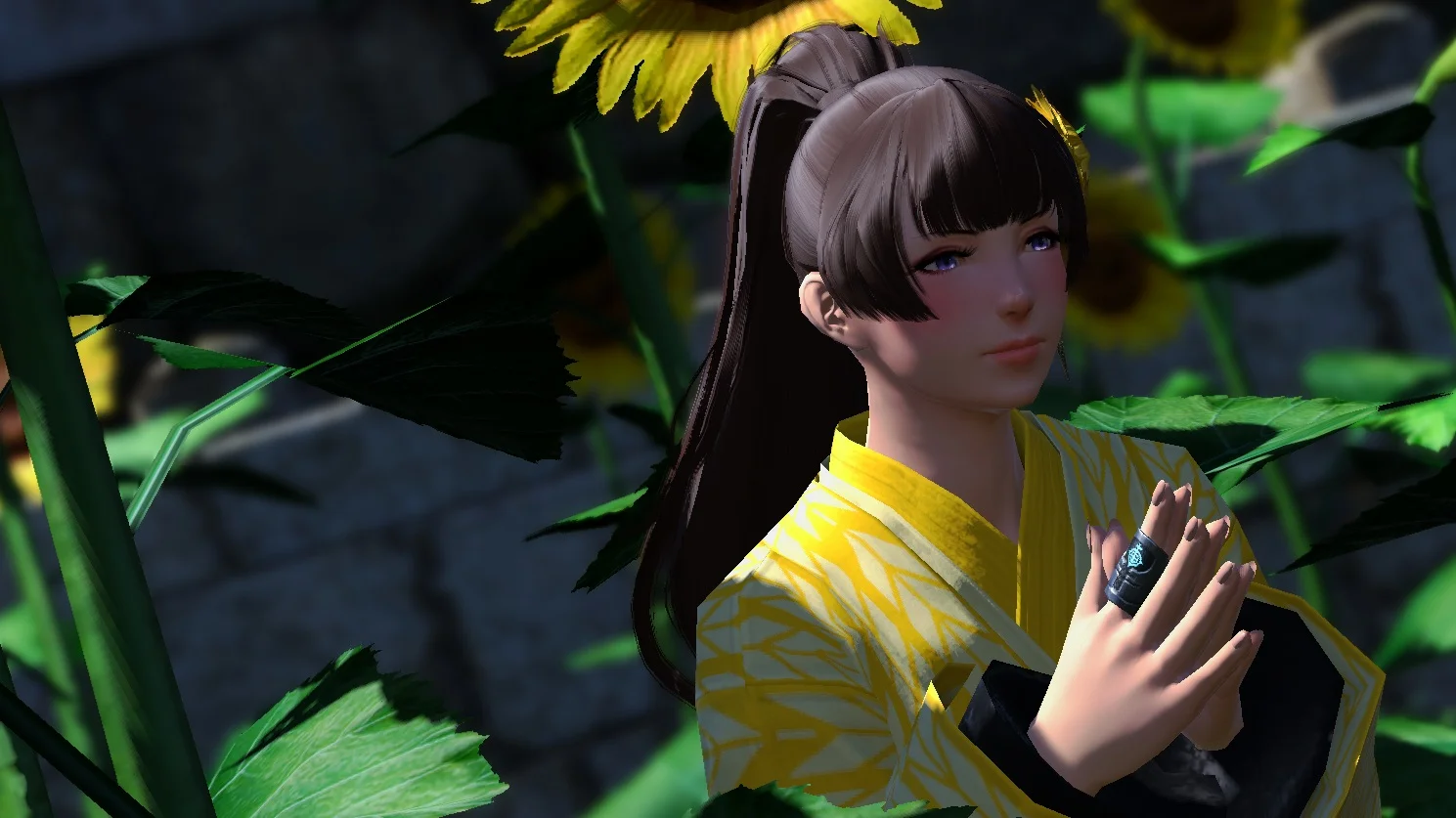 2019-06-17+14-13-15+Radiance.jpg