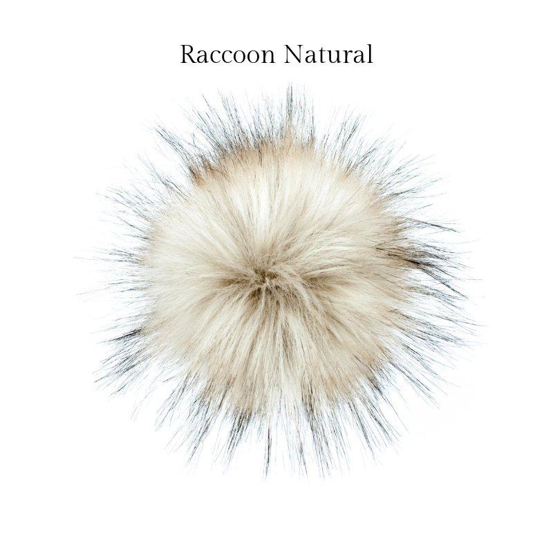 Raccoon Natural.png