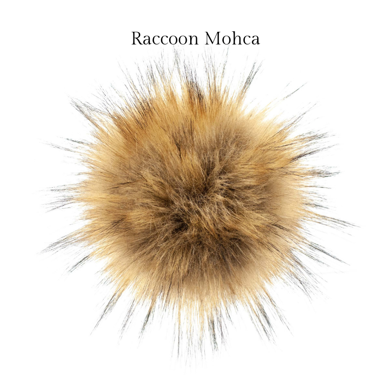 Racoon Mohca.png