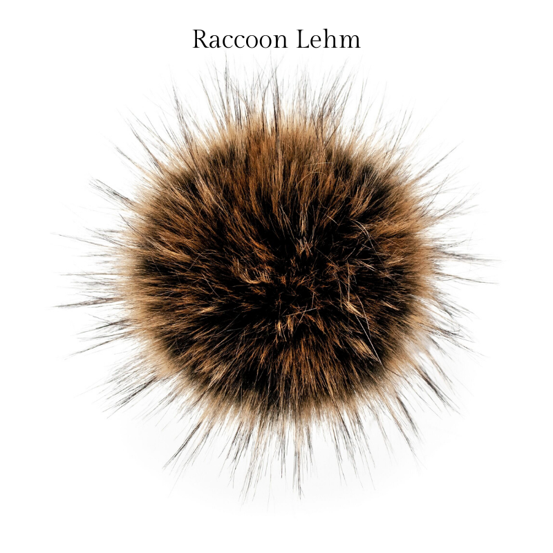 Raccoon Lehm.png