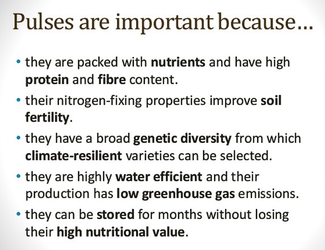 IMAGE SOURCE: http://www.fao.org/pulses-2016/communications-toolkit/promotional-material/en/