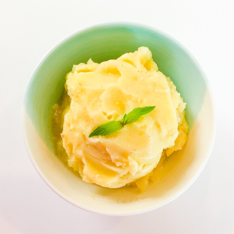 Pina Colada Blender Sorbet