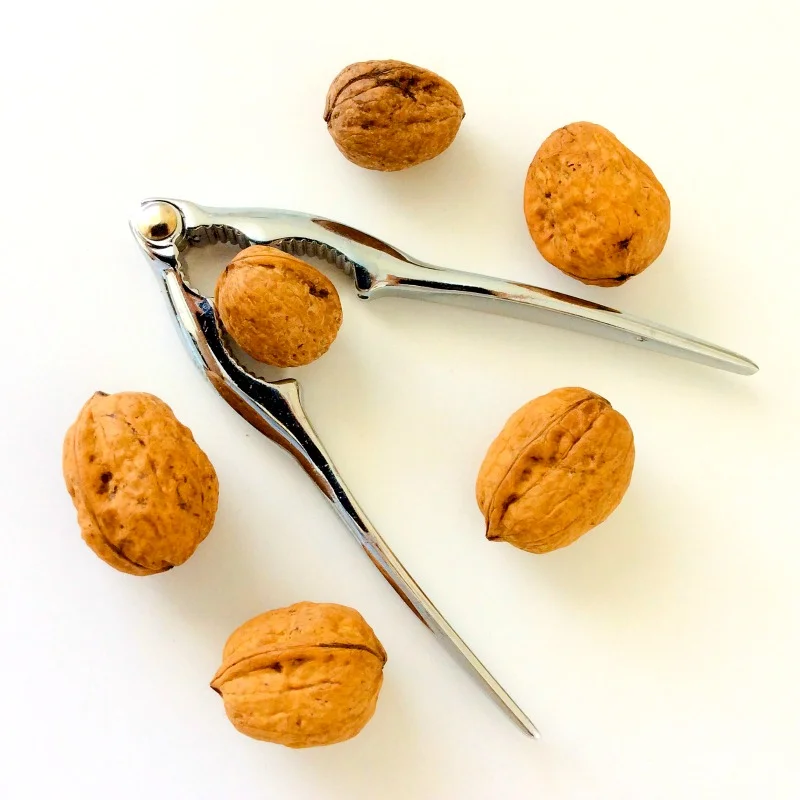 The Health Benefits of Eating a Healthy Amount of Nuts Every Day