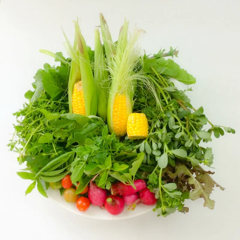 Fruit & Veggies: How Much Should I Eat?