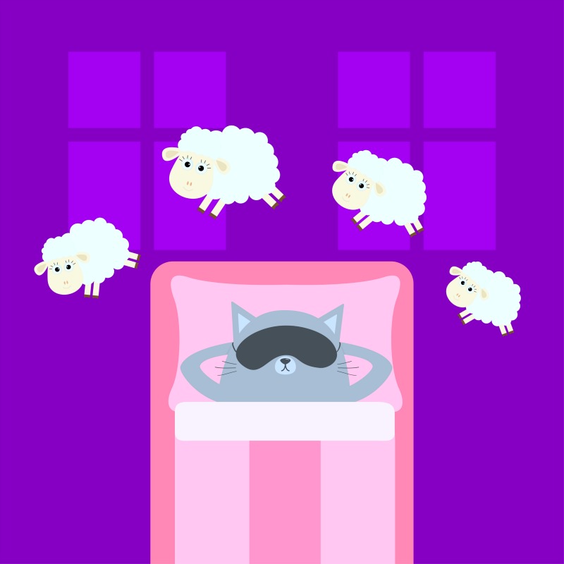 What-You-Need-To-Know-About-Sleep-Part-1.jpg