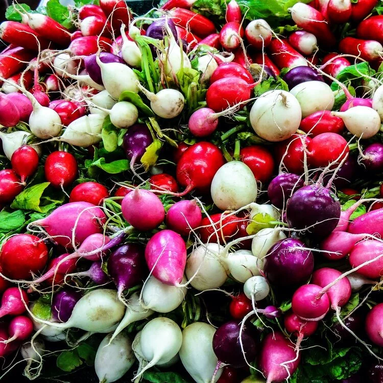 What You Need to Know About Nutrients