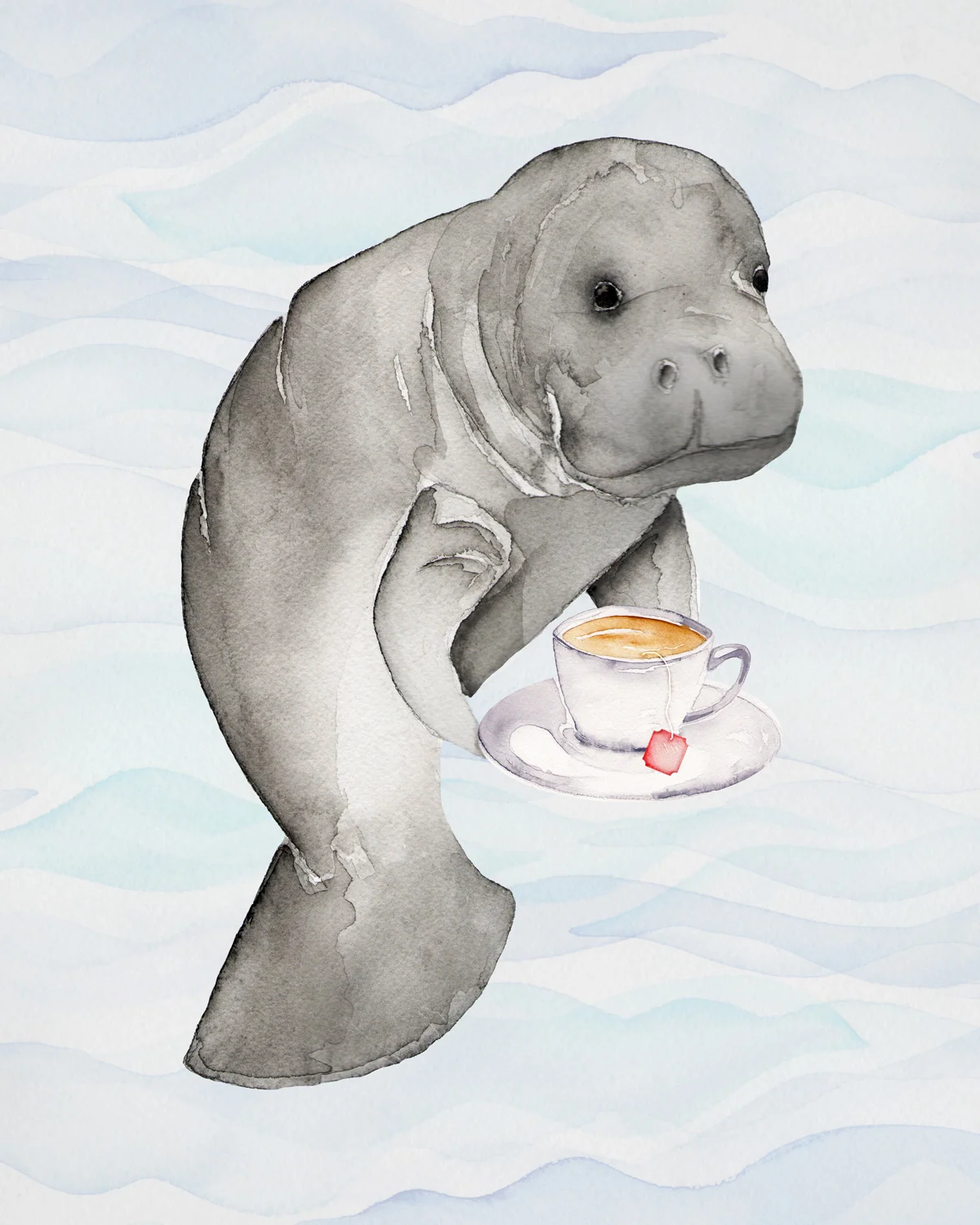 Manatea_web.jpg