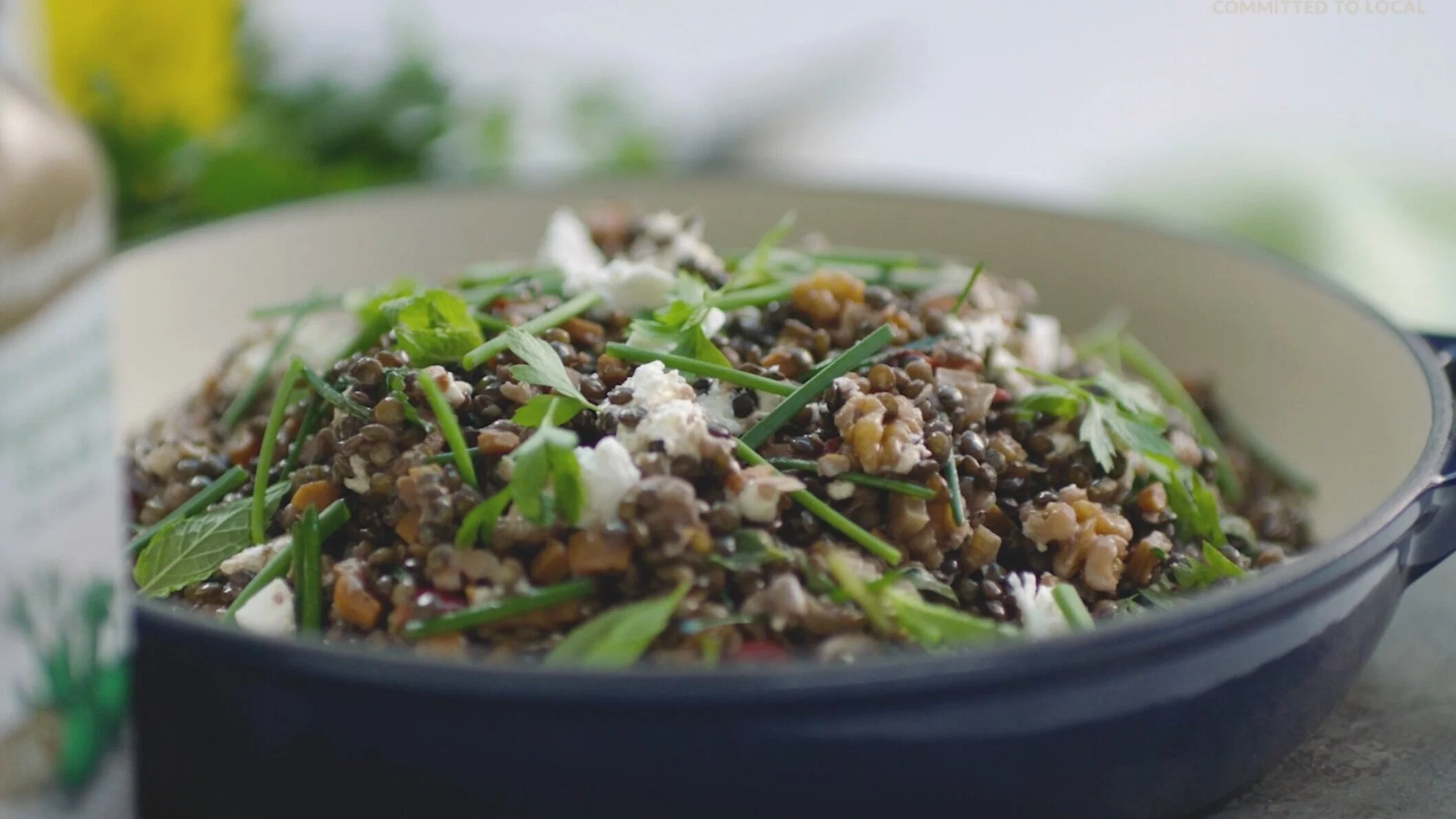 Campbell’s Premium Stock