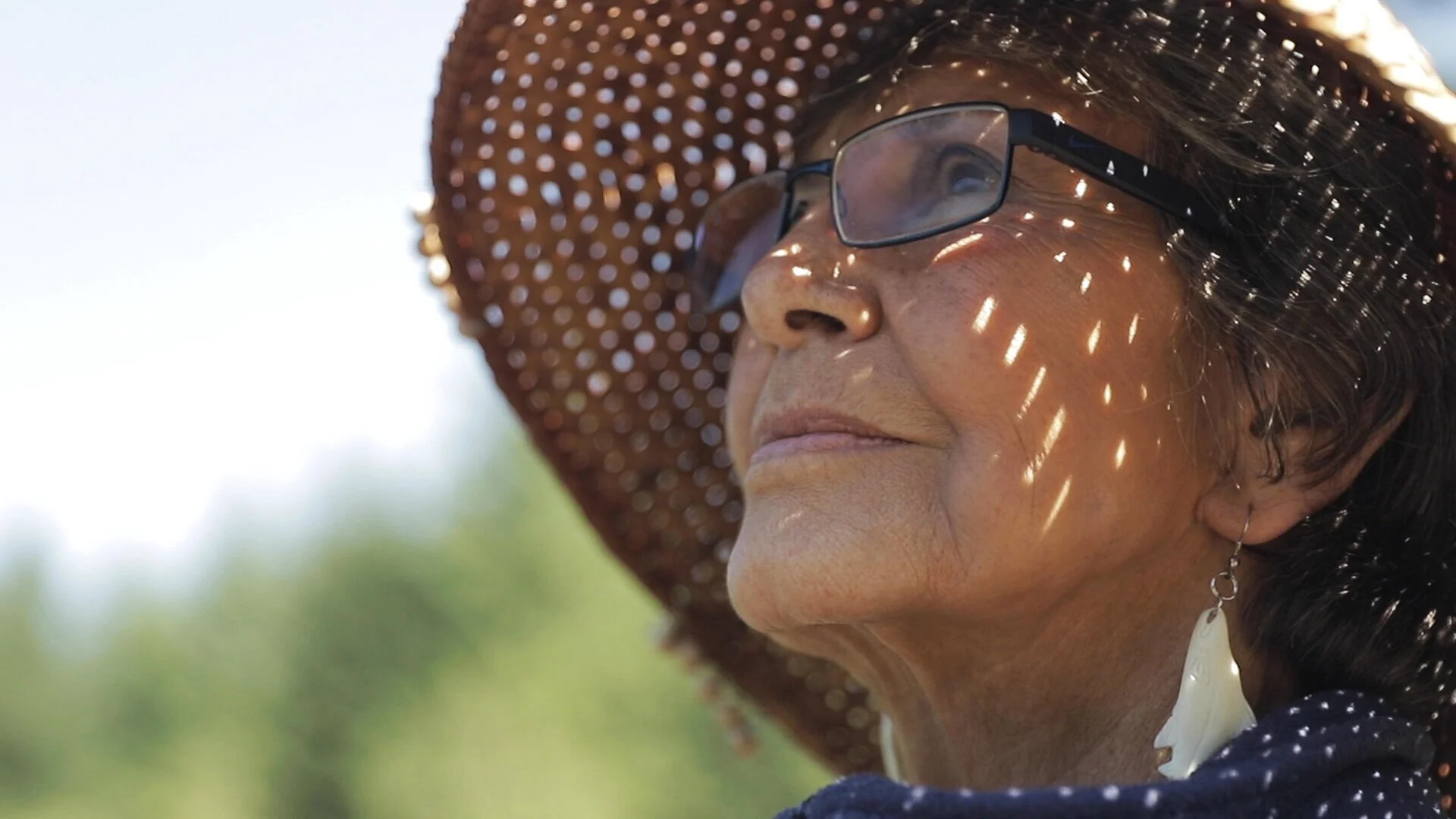 Meander: Restoring Wildboy Creek