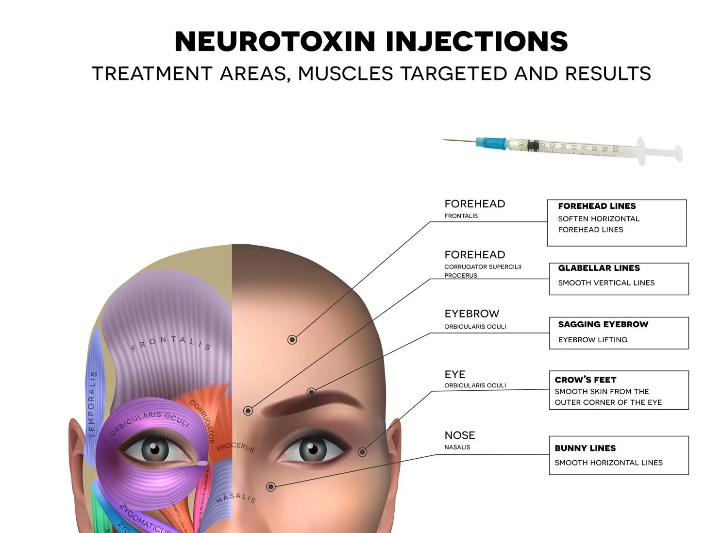 3D Volume Lash & Brow Studio