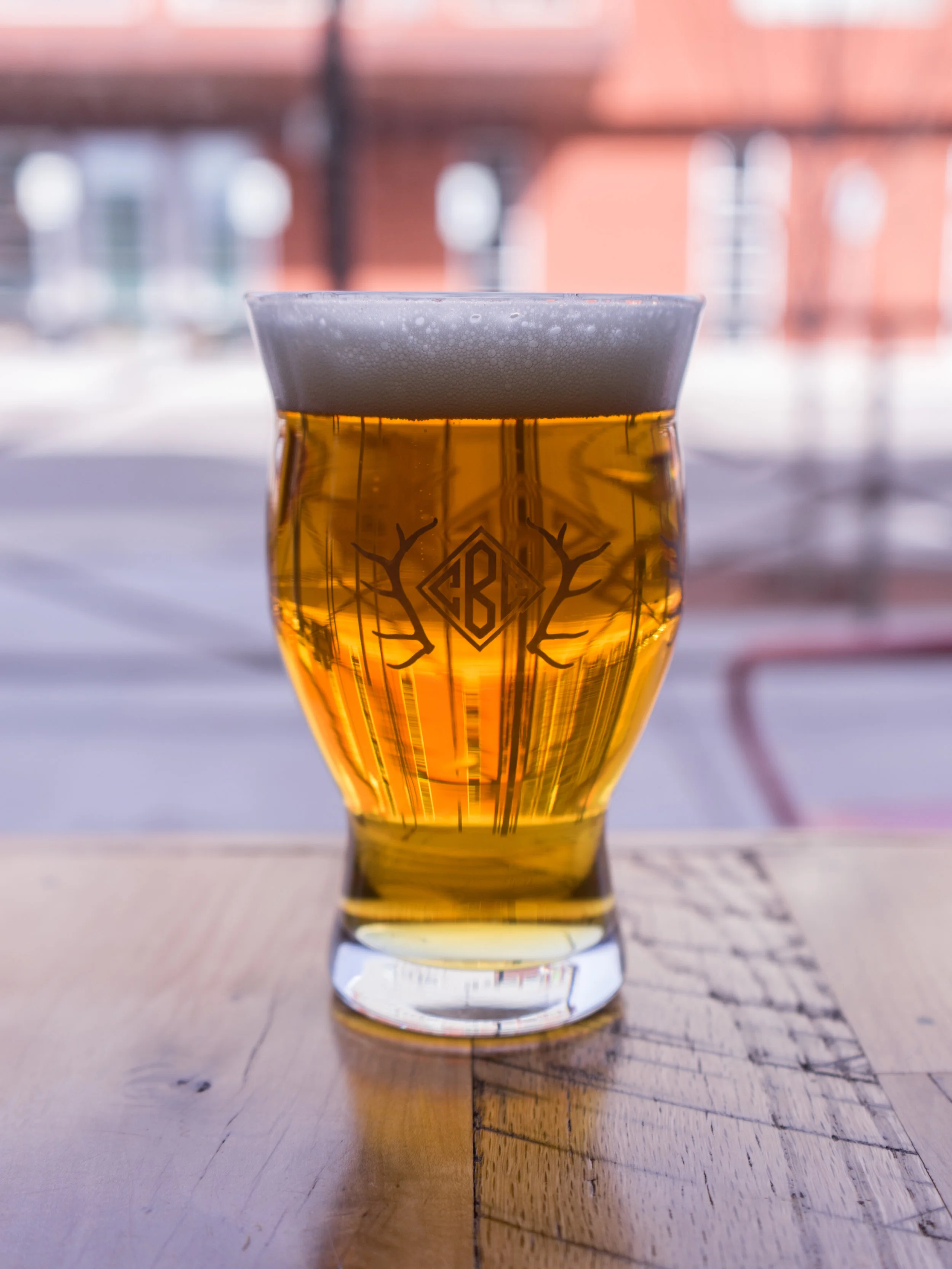 spring lager clemiwink-1855.jpg