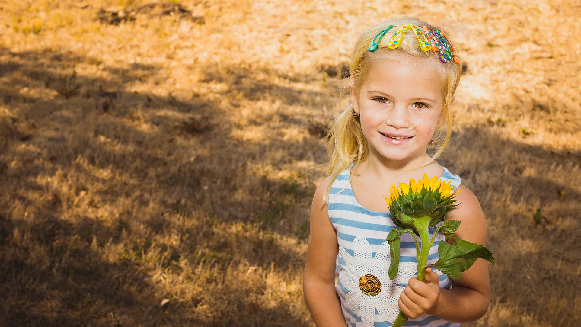 paisleysunflower-2.jpg