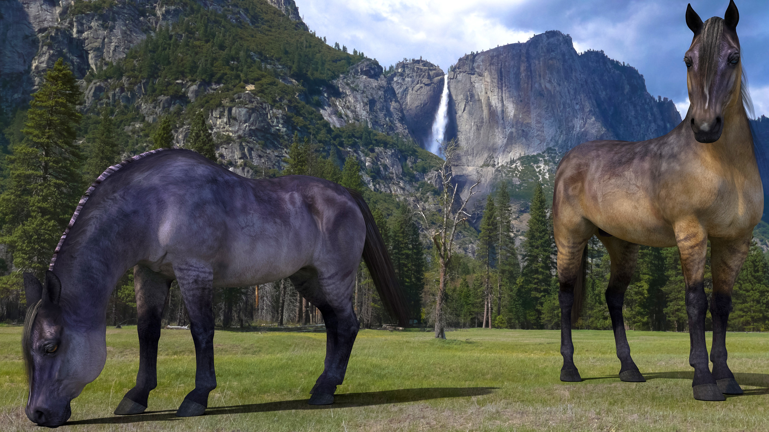Horses-Yosemite3.jpg
