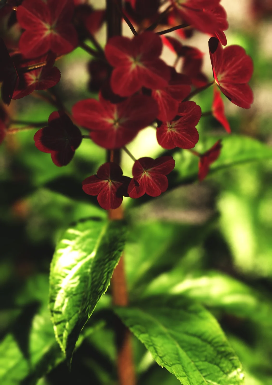 Macroshot3.jpg