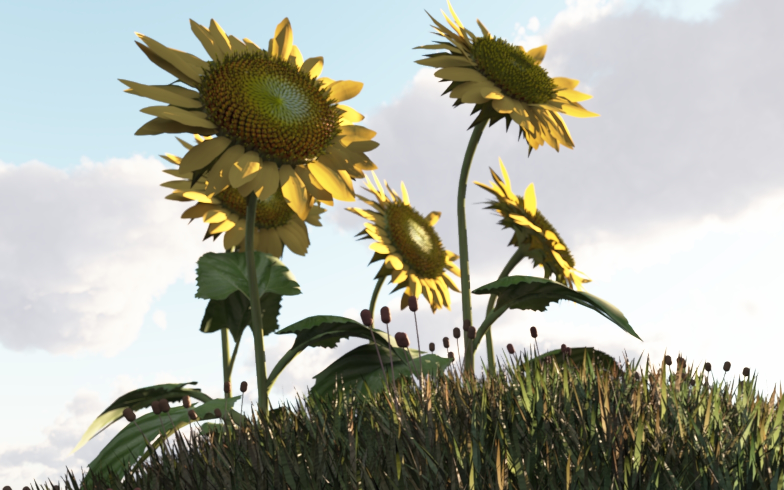 Sunflowers1.jpg