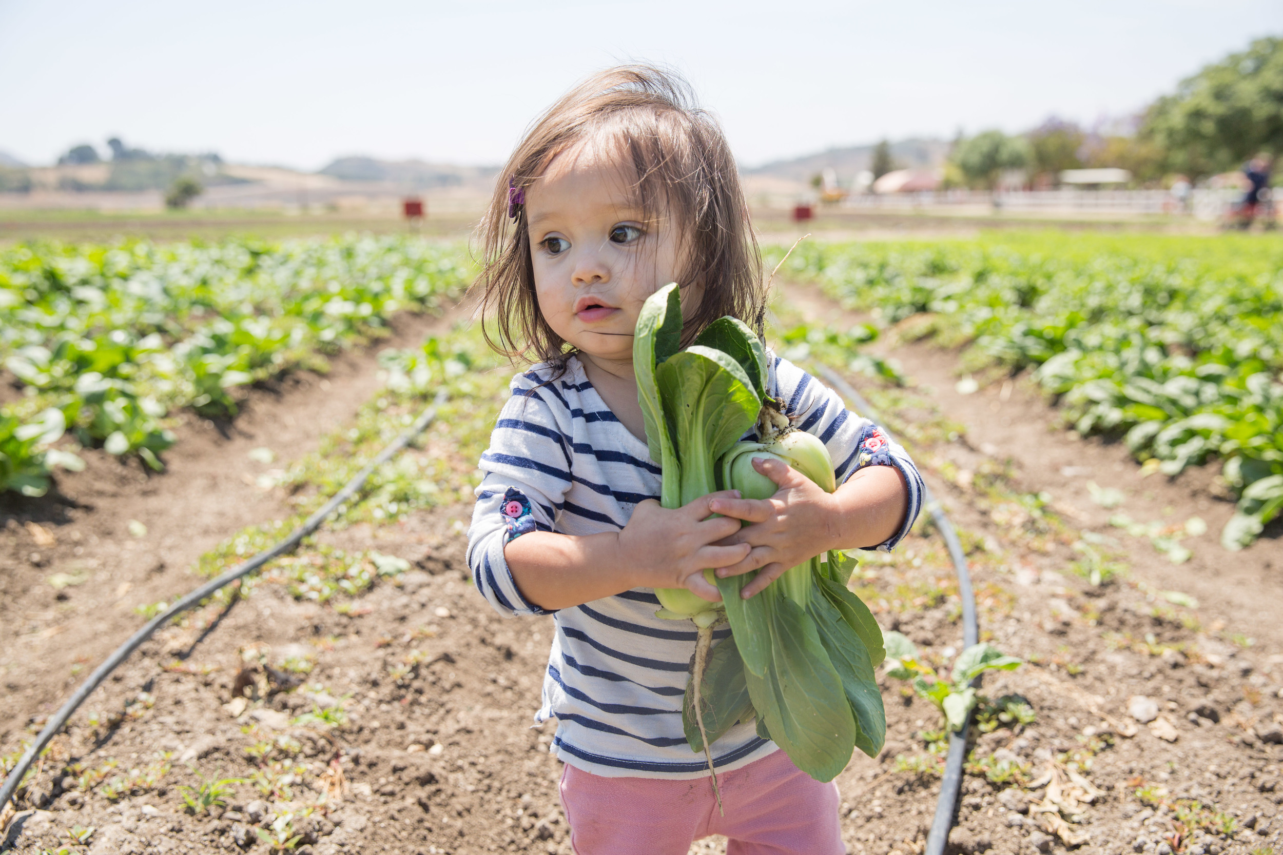 underwood farms-49.JPG