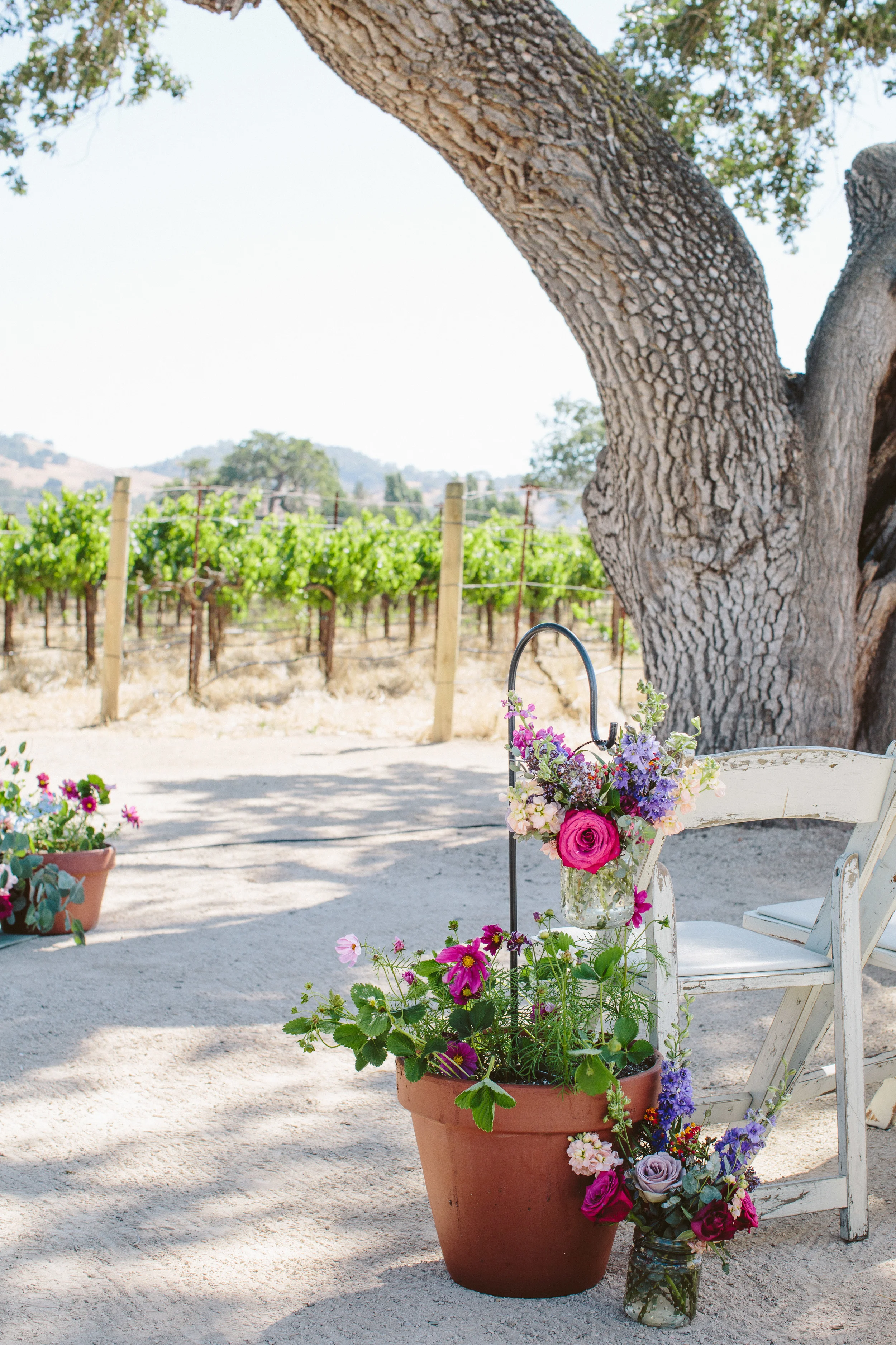 Dana and Mike Sunstone Winery Wedding-1.JPG